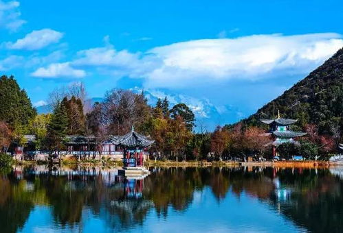 黑龍江省濕地旅游產(chǎn)品開發(fā)的機(jī)遇、挑戰(zhàn)與路徑分析